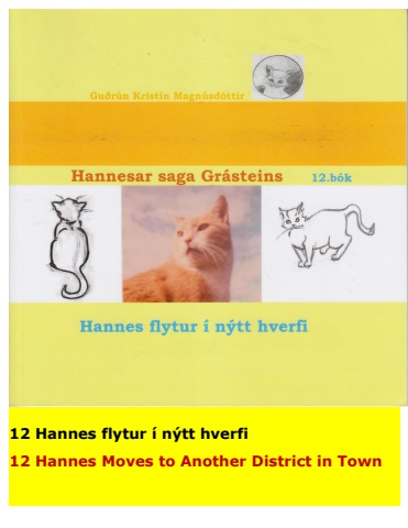 Hannes the Cat - Book 12 - Icelandic and English