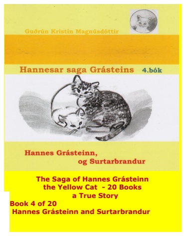 Hannes the Cat - Book 4 - Icelandic and English