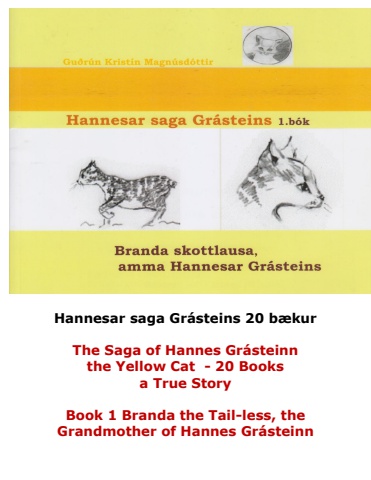 Hannes the Cat - Book 1 - Icelandic and English