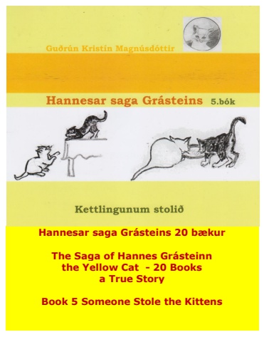 Hannes the Cat - Book 5 - Icelandic and English