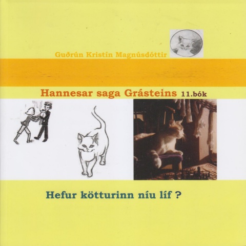 Kötturinn Hannes Grásteinn - 11.bók