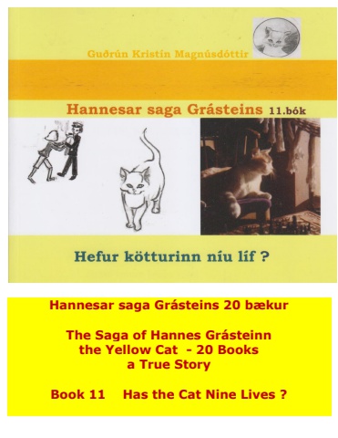 Hannes the Cat - Book 11 - Icelandic and English