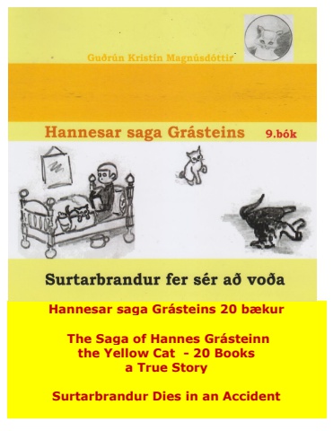 Hannes the Cat - Book 9 - Icelandic and English