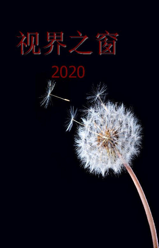 视界之窗2020图册