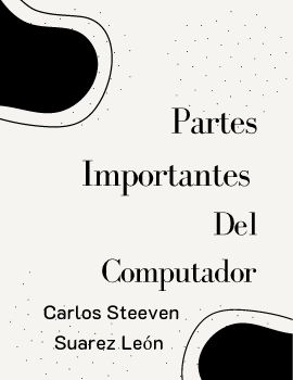 Partes Imprtantes Del Computador 