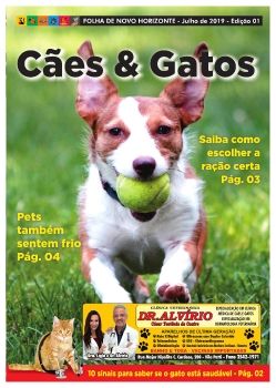 CAES E GATOS