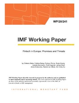 IMF-欧洲的金融科技：机遇与挑战（英文）-2020.11-35页.pdf