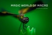 Magic World of Macro HQ