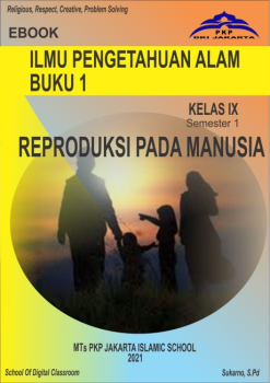 Sistem Reproduksi Manusia