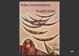 Roland Schimmelpfennig - Noapte araba