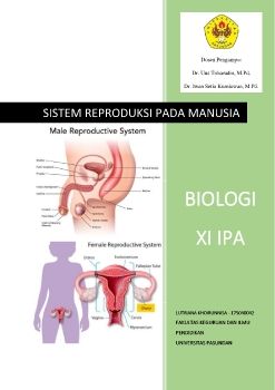 SISTEM REPRODUKSI PADA MANUSIA