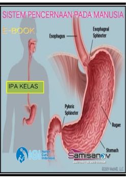 SISTEM PENCERNAAN MANUSIA