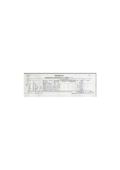 DOC_29_7_23  PBCB-C Birth Cert.jpg