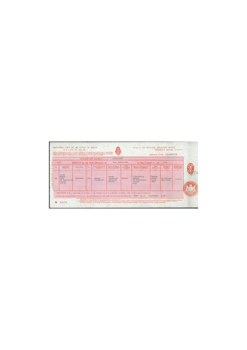 1_3_1889 Winifred Birth Cert