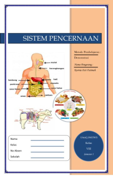 SISTEM PENCERNAAN