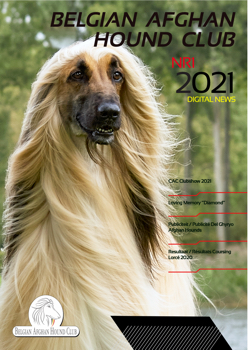 BAHC Digitaal Clubblad Nr1 2021