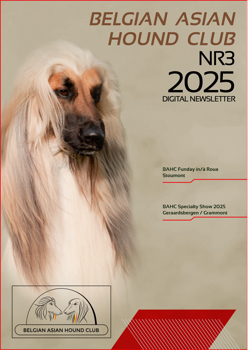 BAHC Digitaal Newsletter Nr3 2025