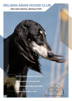 BAHC Digitaal Newsletter Nr4 2025 