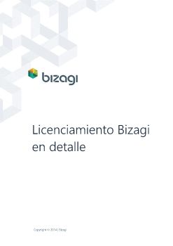 Licenciamiento Bizagi en detalle