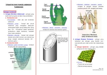 Bio modul