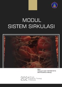 Sistem Sirkulasi