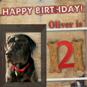 Oliver's Birthday Official album