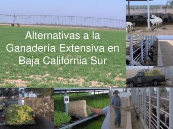 ALTERNATIVAS A LA GANADERIA EXTENSIVA EN BCS