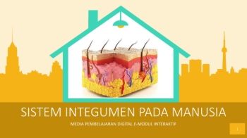 Sistem Integumen