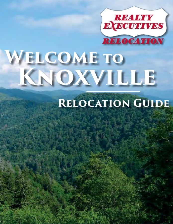 KnoxReloGuide