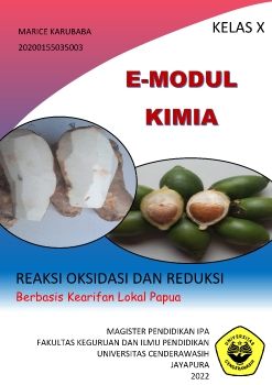 E-MODUL KIMIA REDOKS