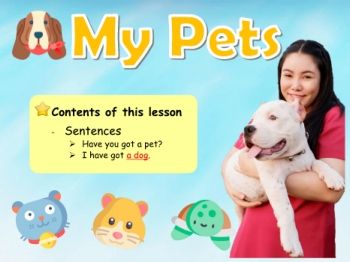 Lesson 3 Pets