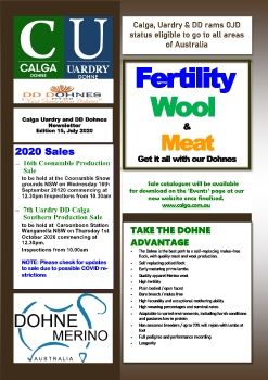 Calga Dohnes Newsletter   2020_Flip Book Neat