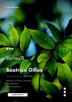 Ebook - Reflex'B_Neat