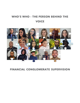 FINANCIAL CONGLOMERATE SUPERVISION