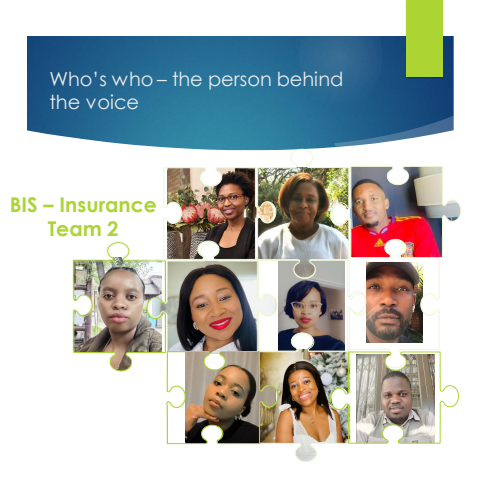 Who's who_BIS Insurance Team 2