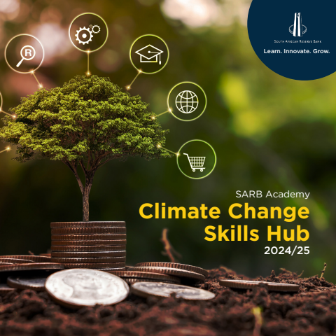 Climate Change Skills Hub 2024-2025