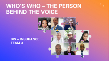 Who’s who – BIS Insurance Team 3