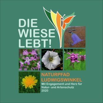 Naturweg Pflanzen 2020