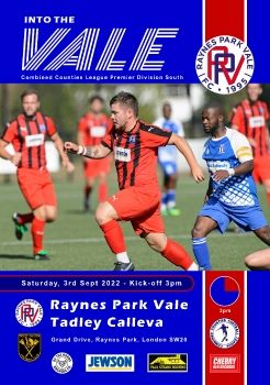 Raynes Park Vale v Tadley Calleva