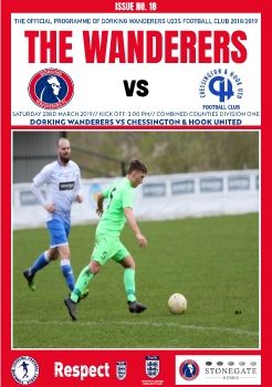 DORKING V CHESSINGTON HOOK UTD 2018-19 SEASON
