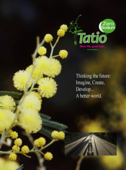 Revista Tatio