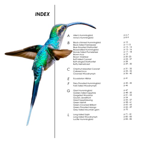 Hummingbirds