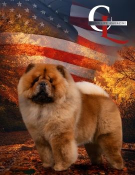 Chow Life - Fall 2025