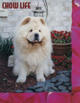 2002 01 Spring