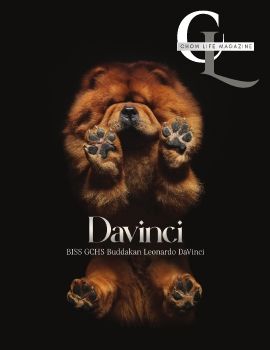 Chow Life - 2025 Summer