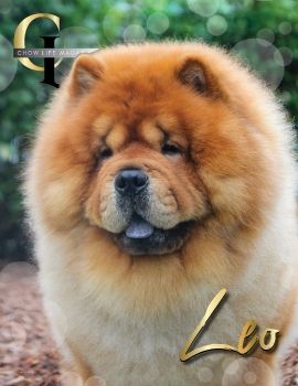 Chow Life - Winter 2025