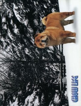 2002 04 Winter
