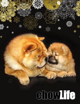 Chow Life - 2016 Winter