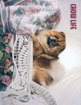 2003 01 Spring