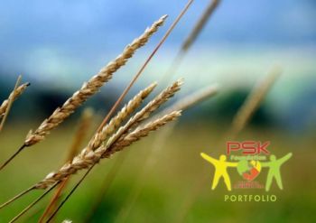 PSK Foundation Portfolio 2018